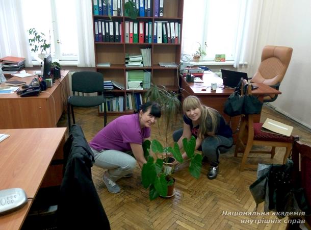 Благоустрій
