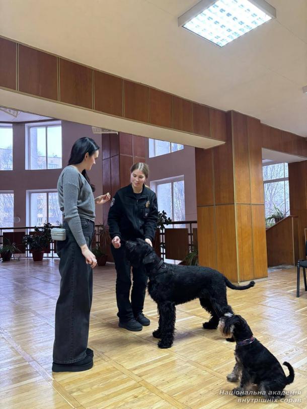 Курсанти НАВС відвідали заняття з елементами каністерапії для зміцнення психологічної стійкості