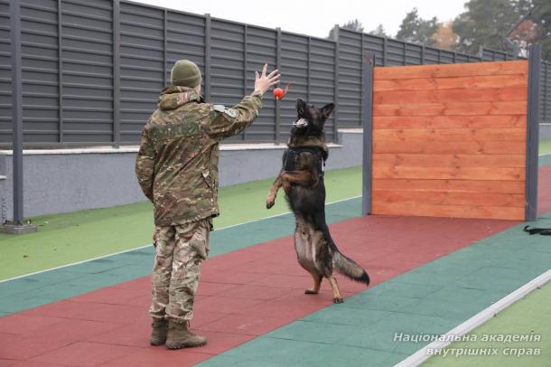 Вивчення криміналістики курсантами НАВС на базі Кінологічного центру ГУНП в Київській області